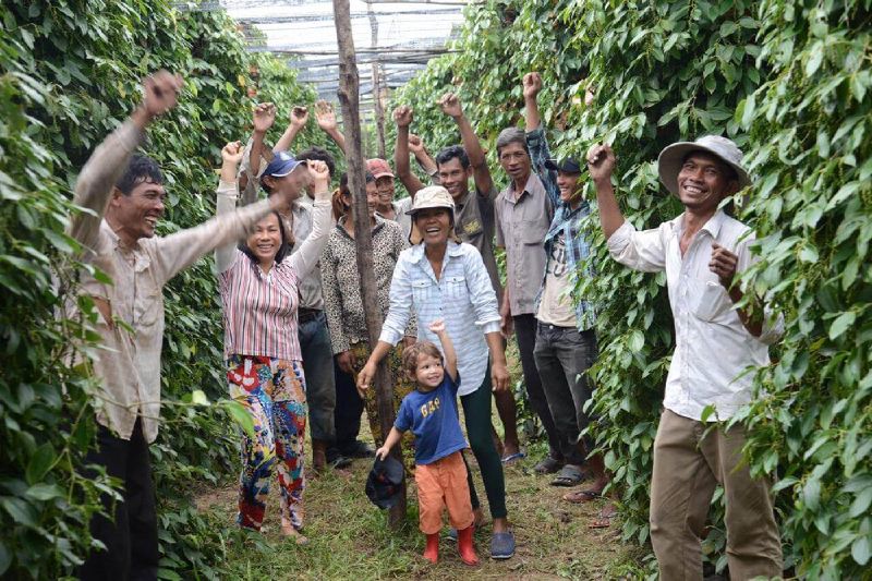 How Many Days in Kampot? A Local's Guide