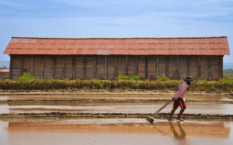 Salt Field Community Tour